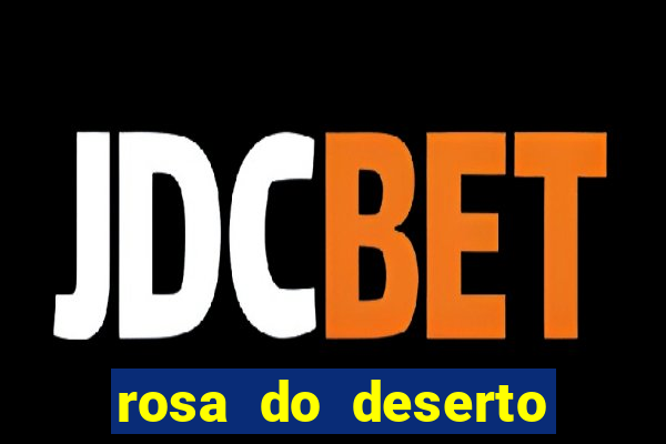 rosa do deserto lilac frost