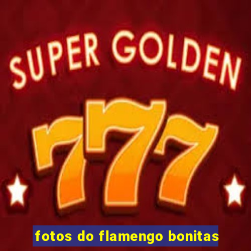 fotos do flamengo bonitas