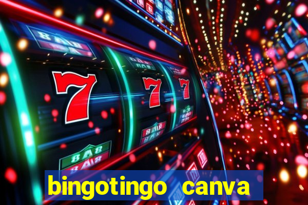 bingotingo canva pro gratis