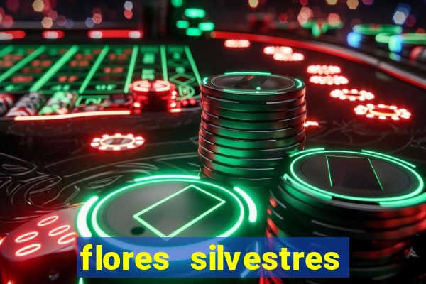 flores silvestres desbravadores desbravadores 25