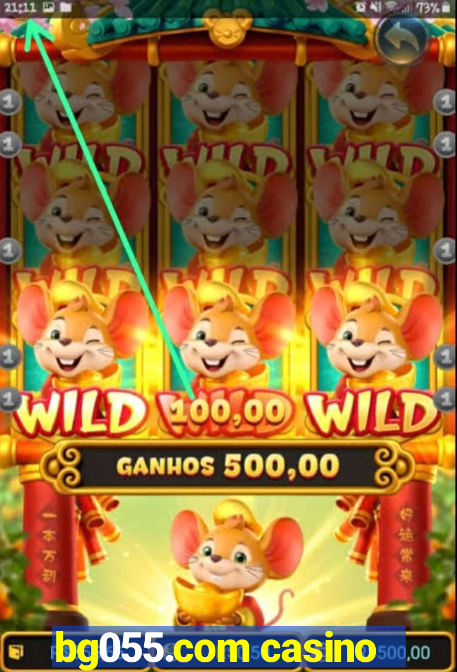 bg055.com casino