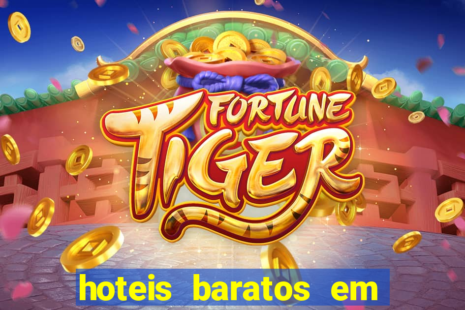 hoteis baratos em cruzeiro sp