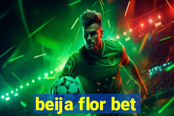 beija flor bet