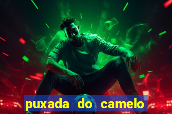 puxada do camelo no jogo do bicho