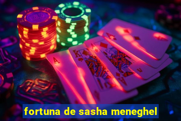 fortuna de sasha meneghel