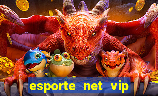 esporte net vip bet apostas