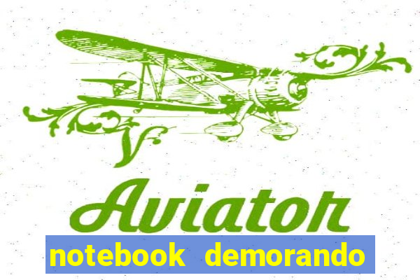 notebook demorando para ligar tela preta