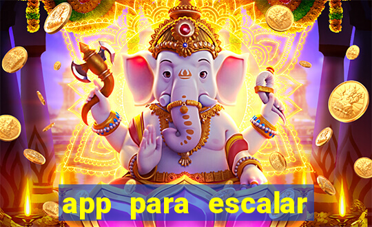 app para escalar time de futebol