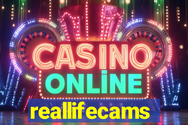 reallifecams