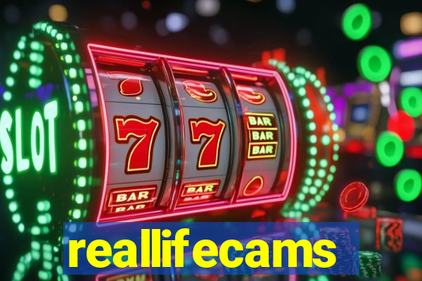reallifecams