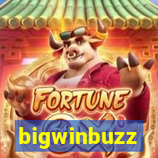 bigwinbuzz