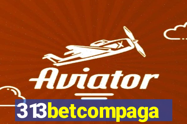 313betcompaga