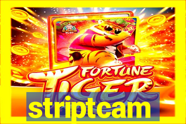 striptcam