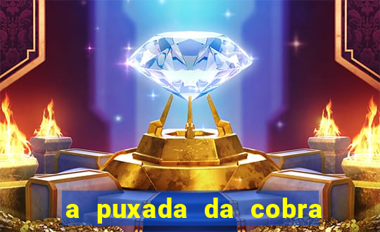 a puxada da cobra no jogo do bicho