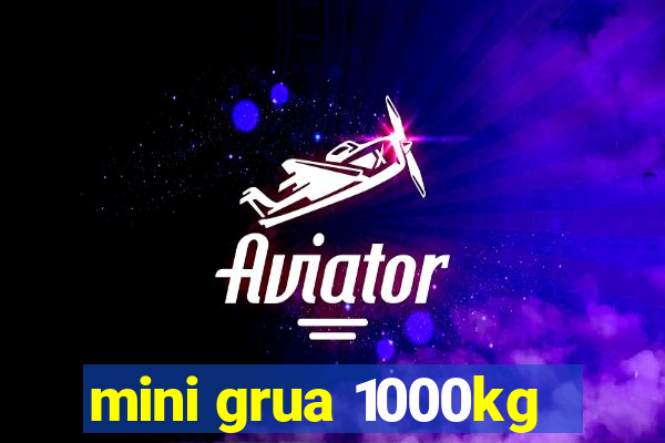 mini grua 1000kg