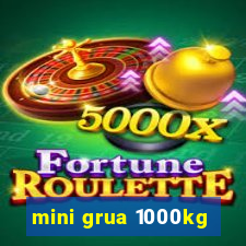 mini grua 1000kg