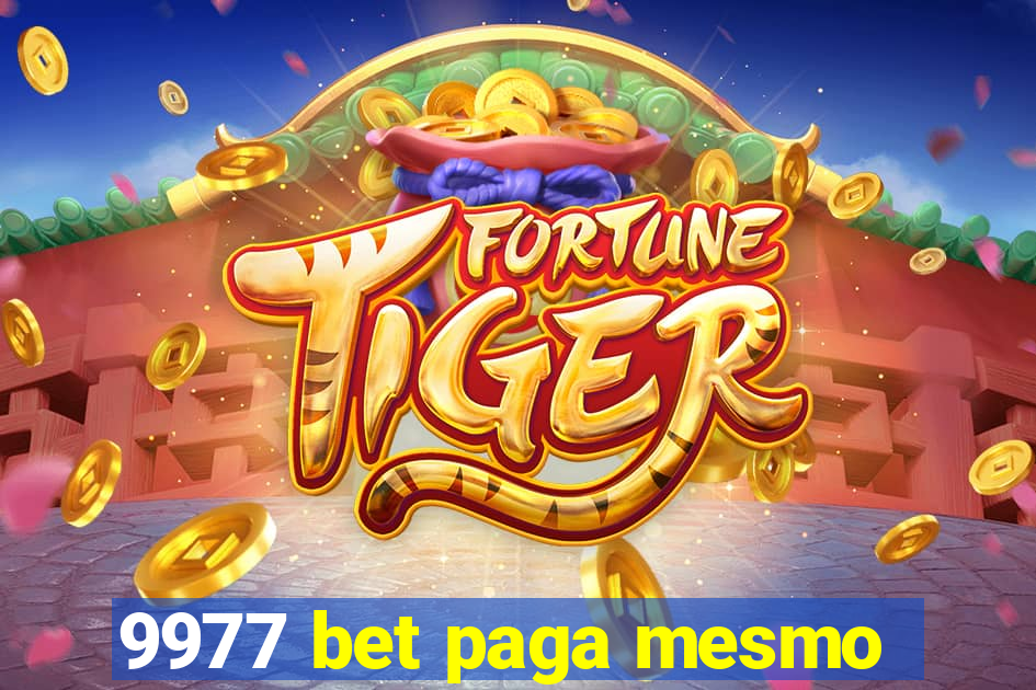 9977 bet paga mesmo