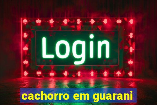 cachorro em guarani