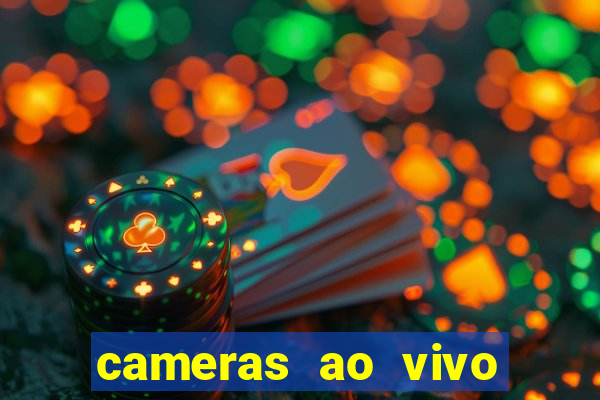 cameras ao vivo beto carrero