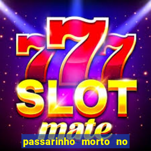 passarinho morto no quintal significado espiritual