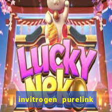 invitrogen purelink genomic dna mini kit