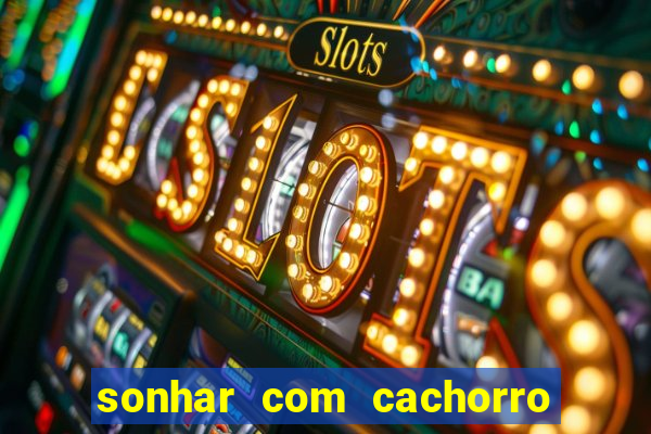 sonhar com cachorro morto jogo do bicho