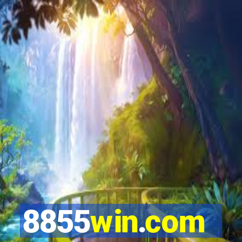 8855win.com