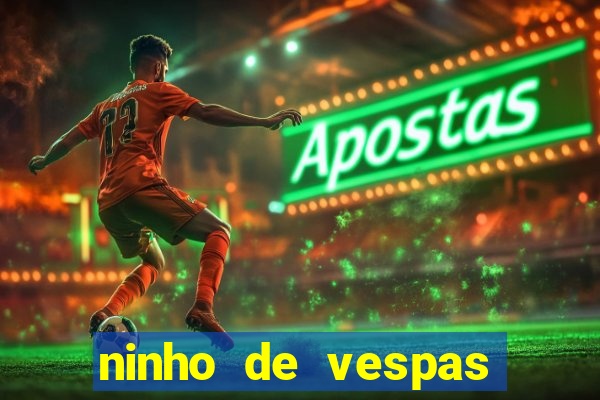 ninho de vespas significado espiritual