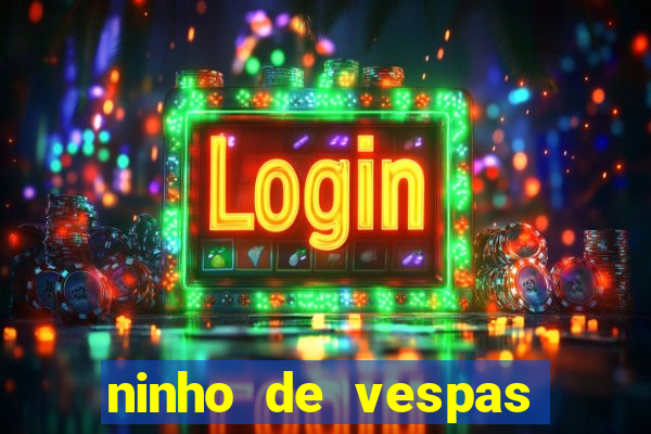 ninho de vespas significado espiritual