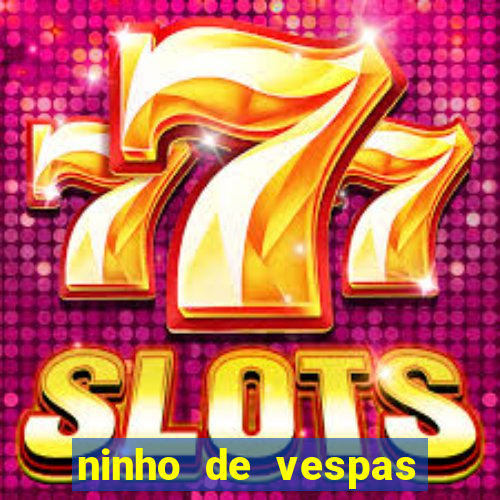 ninho de vespas significado espiritual