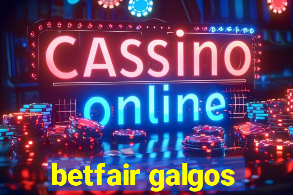 betfair galgos