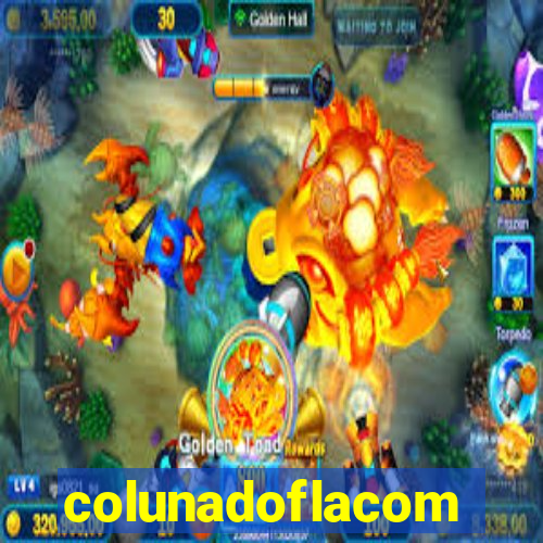 colunadoflacom