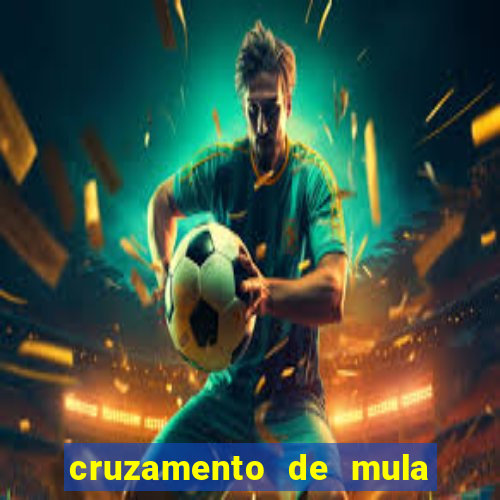 cruzamento de mula com cavalo