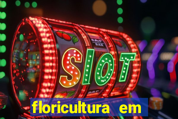 floricultura em franca sp