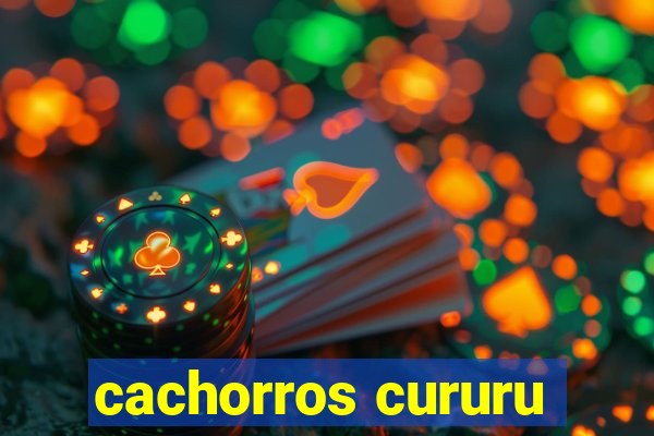 cachorros cururu