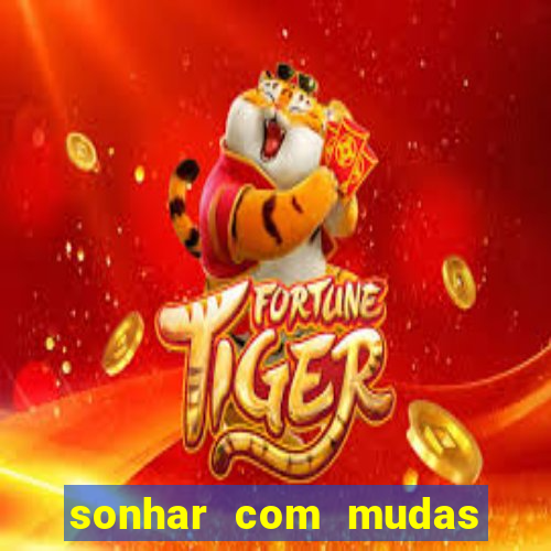 sonhar com mudas de plantas