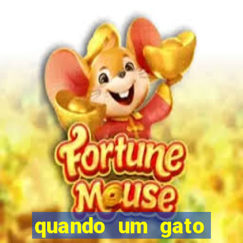 quando um gato aparece do nada significado espiritual
