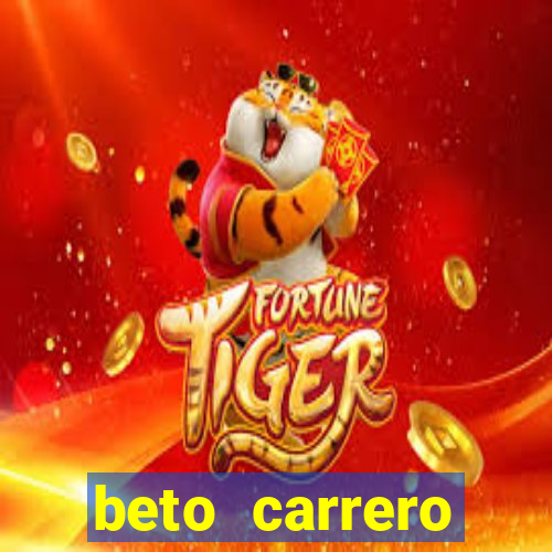 beto carrero cidades proximas