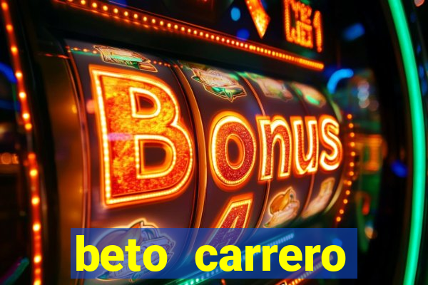 beto carrero cidades proximas