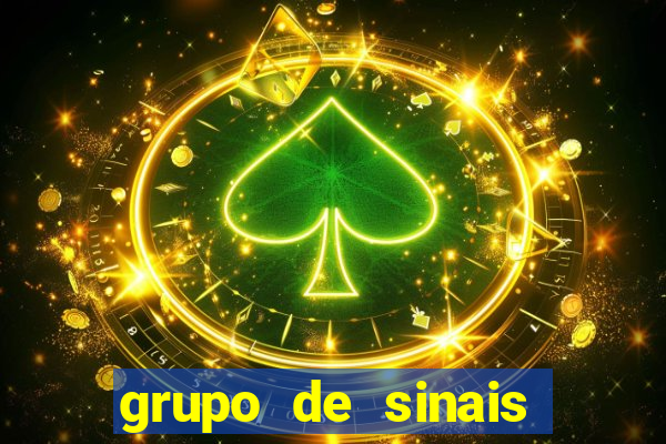 grupo de sinais trader telegram