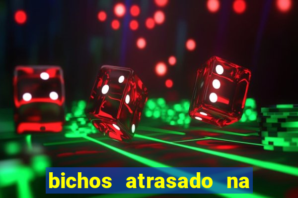 bichos atrasado na loteria dos sonhos