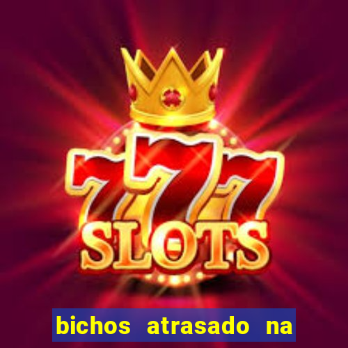 bichos atrasado na loteria dos sonhos
