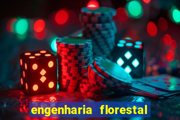 engenharia florestal ead cruzeiro do sul
