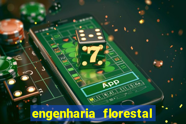 engenharia florestal ead cruzeiro do sul