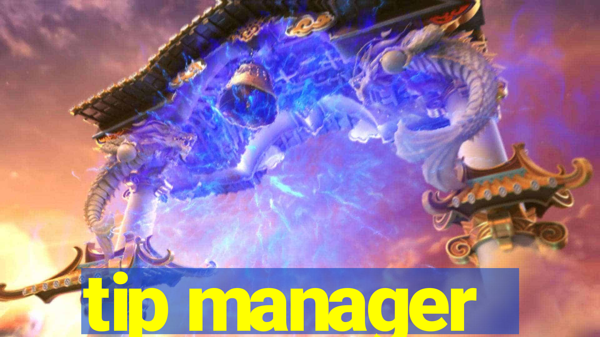 tip manager