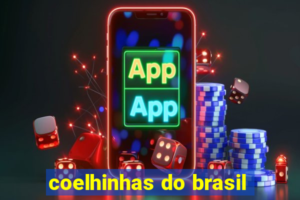 coelhinhas do brasil