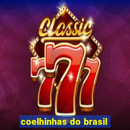 coelhinhas do brasil