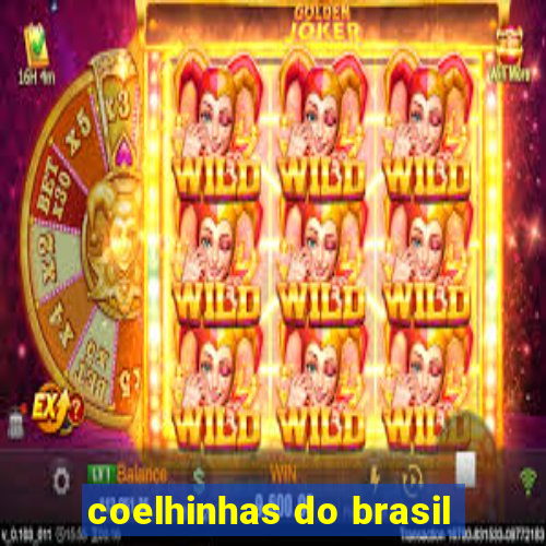 coelhinhas do brasil