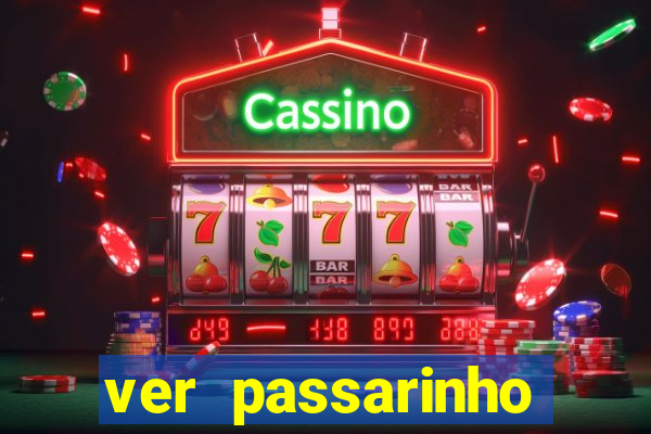 ver passarinho morto significado espiritual