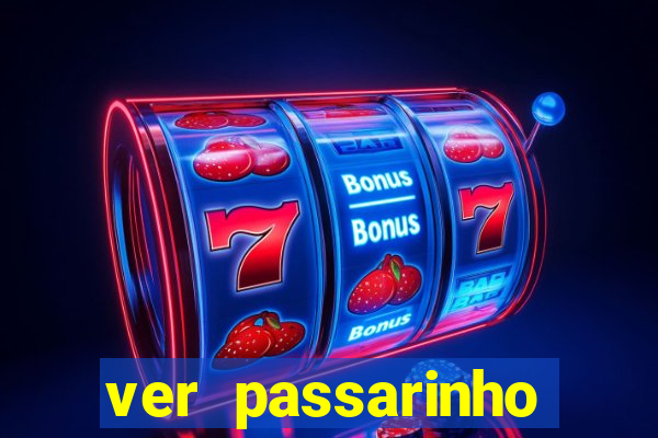 ver passarinho morto significado espiritual